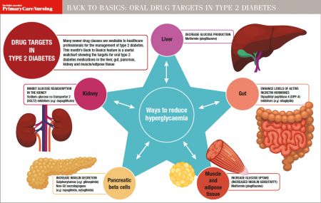 BACK TO BASICS: Oral drug targets in type 2 diabetes