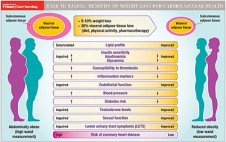 Diet Weight Loss And Cardiovascular Disease Prevention